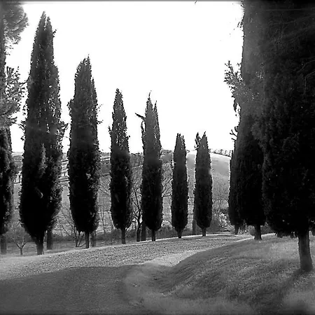 Castello Saltemnano Farm stay Buonconvento