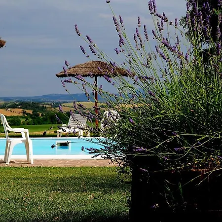 Castello Saltemnano *