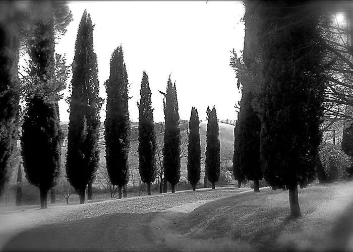 Agriturismo Castello Saltemnano Çiftlik konaklama Buonconvento