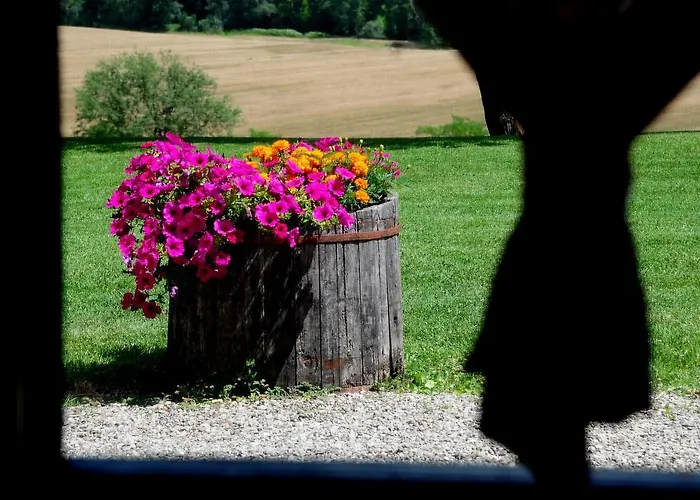 Agriturismo Castello Saltemnano Çiftlik konaklama Buonconvento